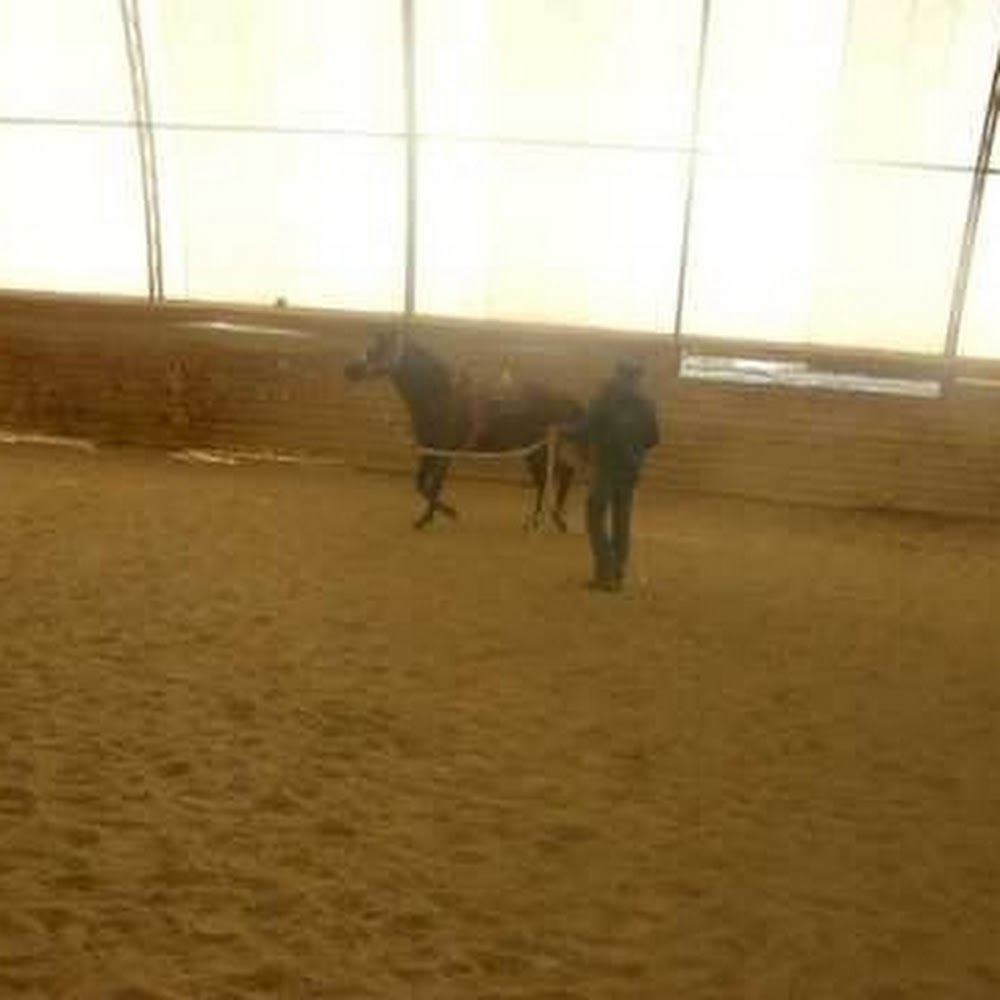 Meet your Posher, Cecilia